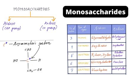 Isomerism - Definition, Types, Examples, Structures - Biology Notes Online