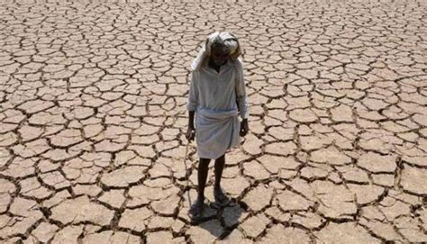 17 Farmers Commit Suicide Everyday In India, It's Time For Politicians ...