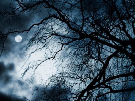 Image result for Banshee Rust