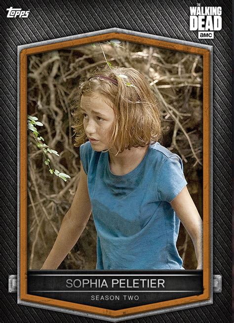 Pin von Kathy Kirschbaum auf Cards TWD