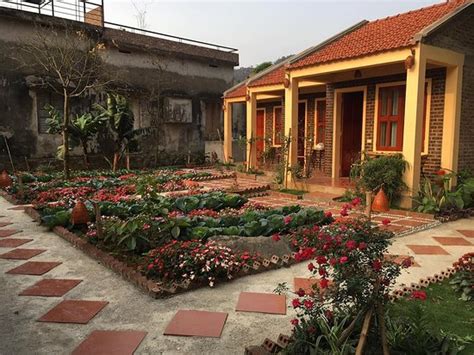 TAM COC SUNSHINE HOMESTAY (Ninh Binh) - Inn Reviews, Photos, Rate ...