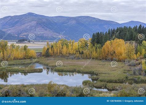 Fall Landscape in Bonners Ferry, Idaho. Stock Photo - Image of outdoor ...