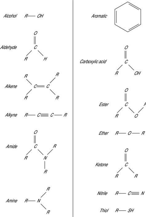 Image result for Examples of Common Functional Groups