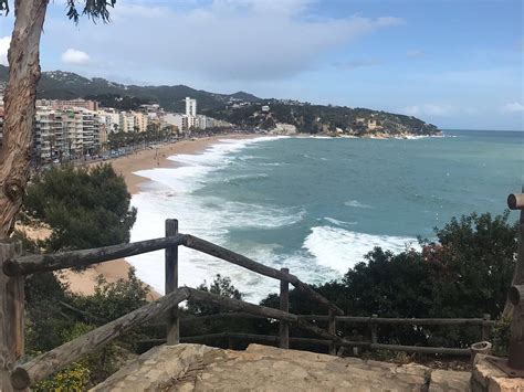 DESCENT CAT (2026) All You Need to Know BEFORE You Go (with Photos ...