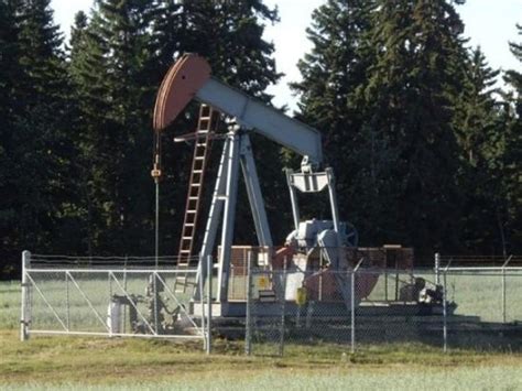 THE 10 BEST Places to Visit in Ponoka (2025) - Must-See Attractions