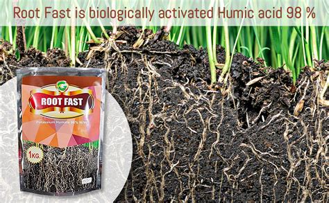 Green Global Crop Science Humic Acid 98% Super Potassium Humate,100% ...