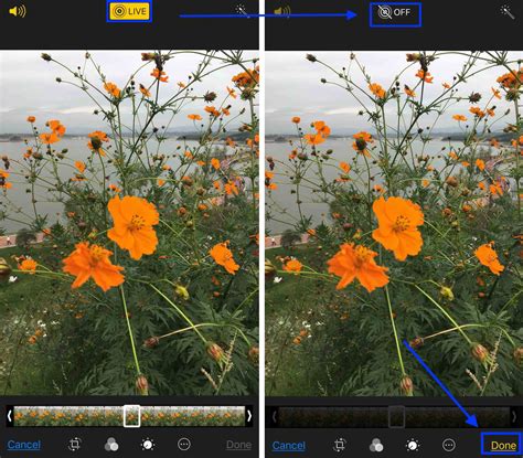 How To Use Live Photos To Create Amazing Moving Images On iPhone