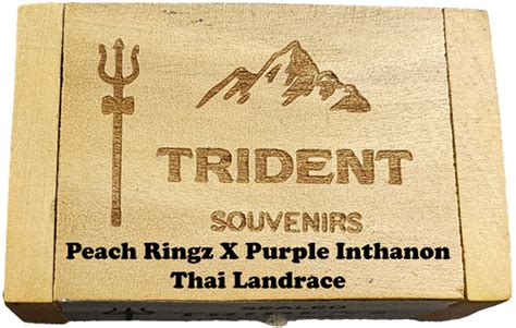 Landrace Hybrids – Trident Souvenirs