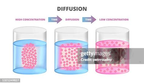 Diffusion 的图像结果