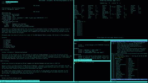 Image result for Screen Command Linux Bash