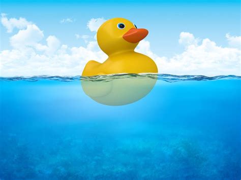 Image result for Example 1 Object That Float