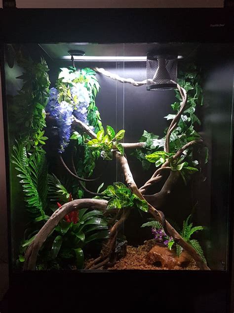 Image result for 15 Foot Python Enclosure