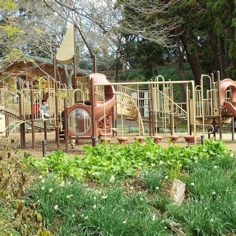 NINOMIYAMACHIO AZUMAYAMA PARK SMALL ANIMAL ZOO (2024) All You Need to ...