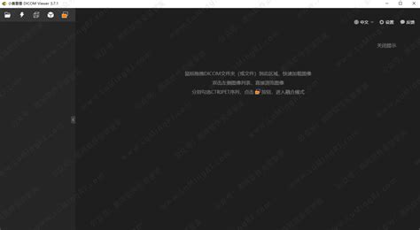 Load File DICOM Viewer 的图像结果