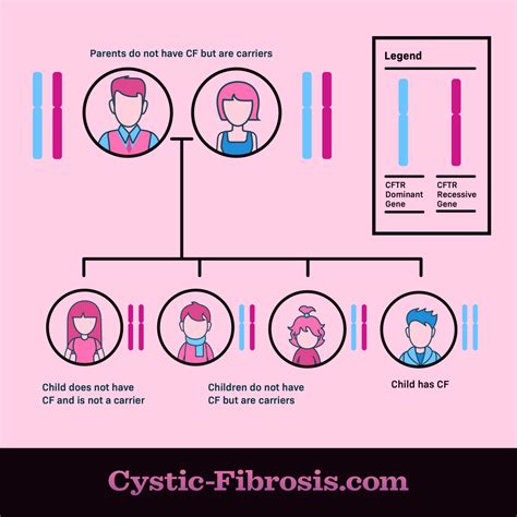 What Causes Cystic Fibrosis?
