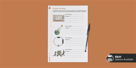 4 Energy Pathways Worksheet | Beyond Twinkl