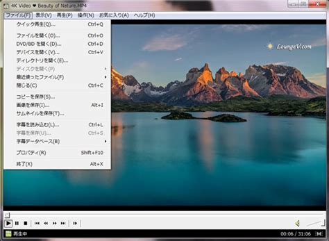 Image result for 9 Polegadas