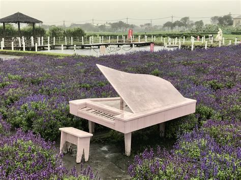 Go to Flower Market 的图像结果