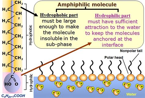 LB Film Deposition Technology — Apex Instruments