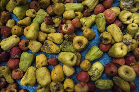 Do Cashews Come From A Fruit