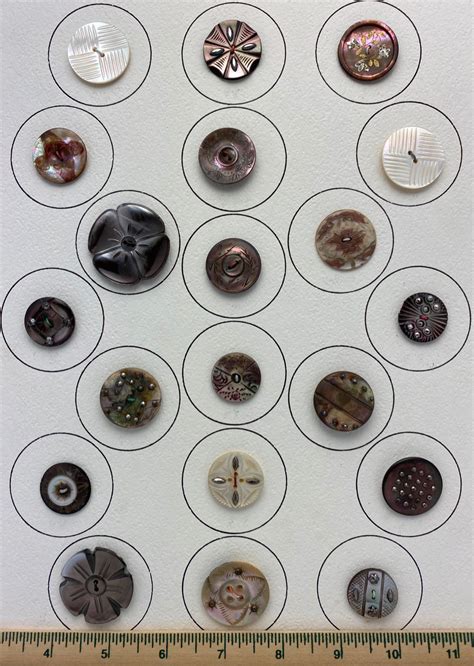 Image result for Deluxe Shell Buttons