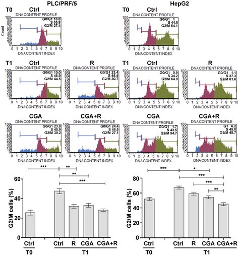 RETRACTED: Chlorogenic Acid Improves the Regorafenib Effects in Human ...