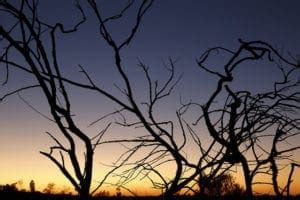 Image result for Python Gradient Boost Machine Learning