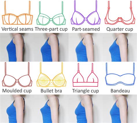Types Of Bra Cup Shapes at Joseph Cornwall blog