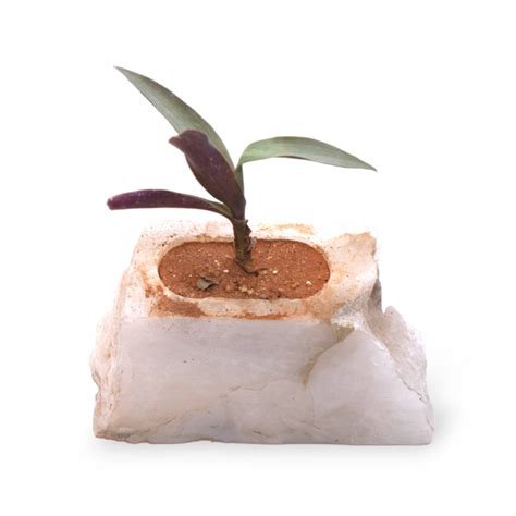 Buy Planter | Semi Precious White Quartz Planter | Shop at The Purple ...