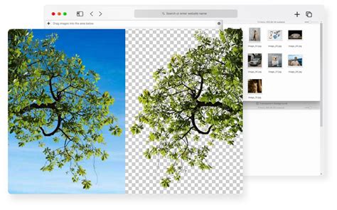 Image result for Remove Background for Free