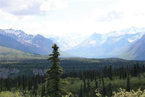 Chickaloon Photos - Featured Images of Chickaloon, AK - Tripadvisor