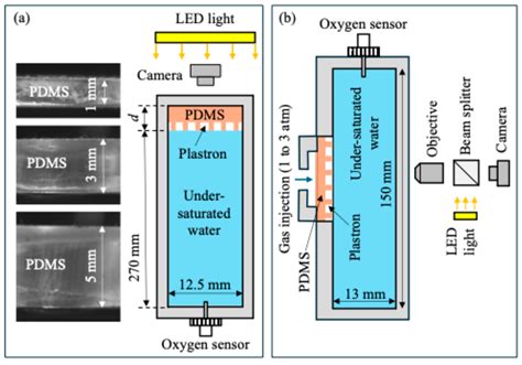 Extend Plastron Longevity on Superhydrophobic Surface Using Gas Soluble ...