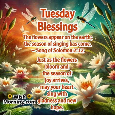 Tuesday Blessing Images for a Happy & Peaceful Day - Wish Morning
