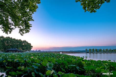 杭州西湖丨冬日的西湖美得静止，这些民宿竟然比西湖还要美！ - 知乎