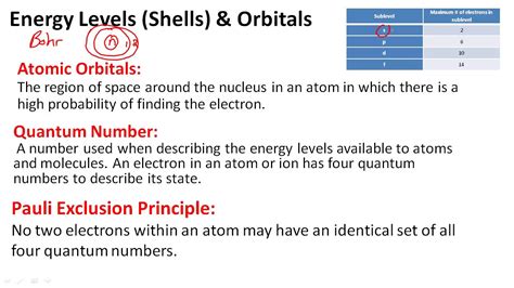 Image result for Orbit Shell