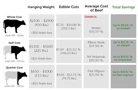 How to Buy a Cow & Meat in Bulk (Unique Money-Saving Method!)