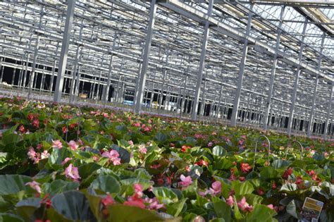 Metrolina Greenhouses | American Galvanizers Association