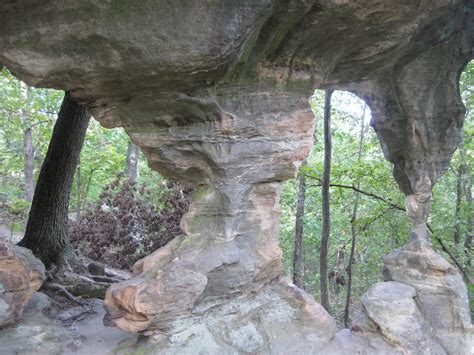 The Schramm Journey: Pickle Springs Natural Area