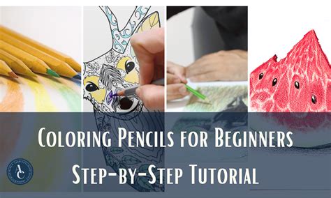 Image result for Adult Colored Pencils Tutorials