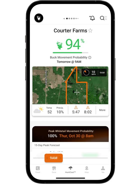 Understanding Deer Feeding Times for Bagging Big Bucks | HuntWise