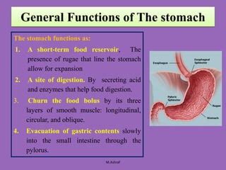 Image result for HTML Create Questions for Practice S2 Computer Science