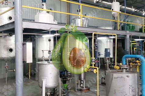 Image result for Small Avocado Vegetable Oil Processing