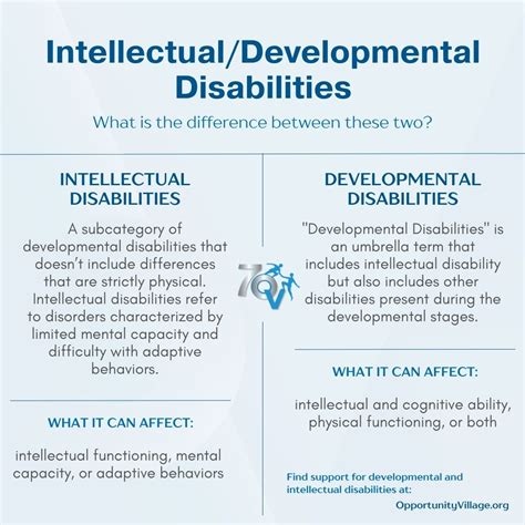 What is the Difference Between Intellectual and Developmental Disabilities?