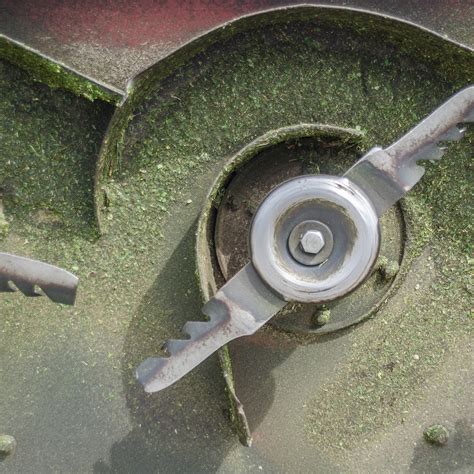 How To Sharpen Lawn Mower Blades Without Removing (Step-By-Step Guide)