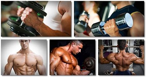 Bodybuilding Workouts 的图像结果