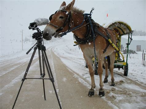 Tumbleweed Connection 的图像结果