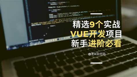 Vue + Spring Boot 项目实战（一）：项目简介 - shuzihua - 博客园