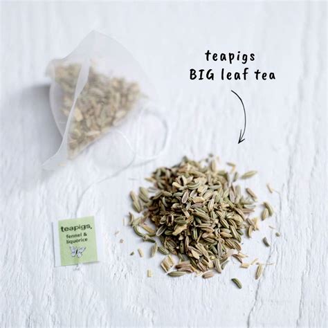 Buy Teapigs Fennel & Liquorice Herbal Tea Bags Made With Whole Leaves ...