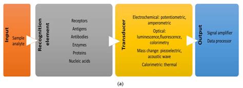 Advances in Cancer Diagnosis: Bio-Electrochemical and Biophysical ...