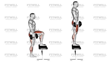 Image result for Step-Up Exercise for Beginners